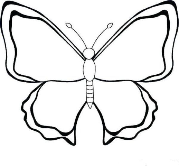Бабочка для срисовывания