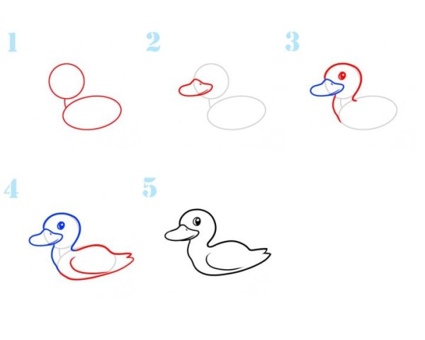 Утенок рисунок