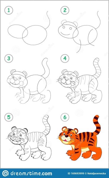 Тигр рисунок