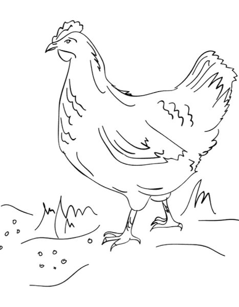 Чёрная курица или подземные жители нарисовать поэтапно