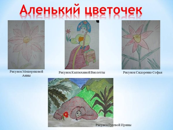 Аленький цветочек рисунок