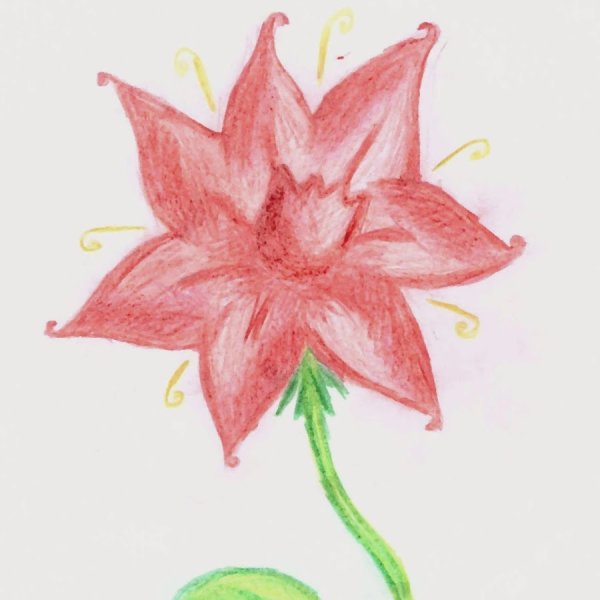 Аленький цветочек (Scarlet Floret)