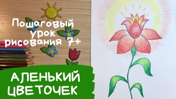Аленький цветочек рисунок поэтапно