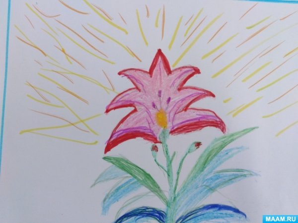 Лилия раскраска