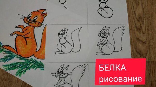 Рисование белки пошагово
