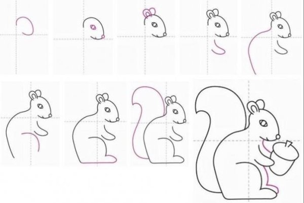 Как нарисовать белочку поэтапно
