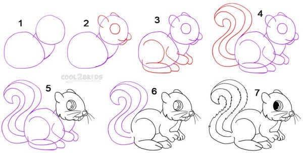 Белка по-этапное рисование