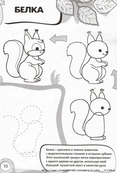 Белка нарисовать