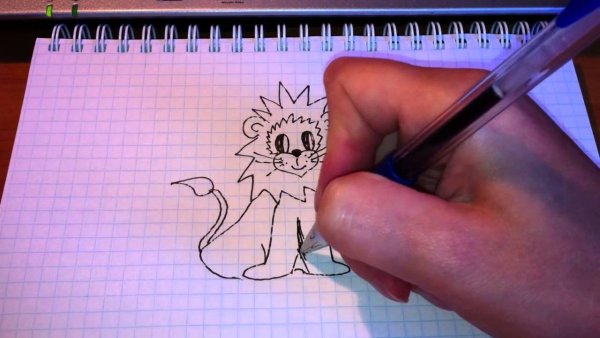 Самый красивый рисунок легкий