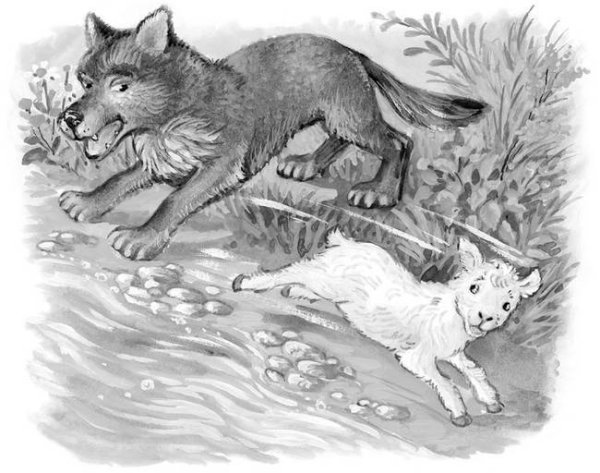 Волк и ягненок раскраска