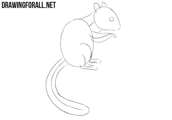 Белочка раскраска для детей