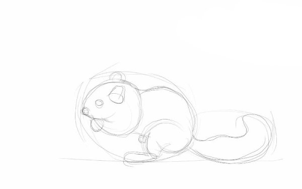 Бурундук раскраска для детей