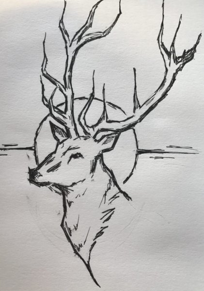 Животные тушью и пером