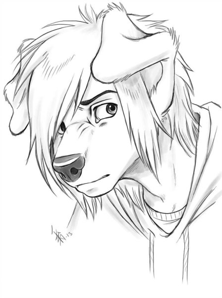 Рисунки фурри