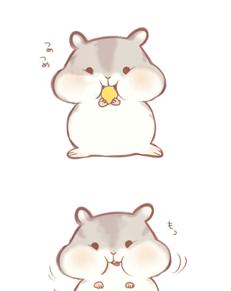 Раскраска хомячок