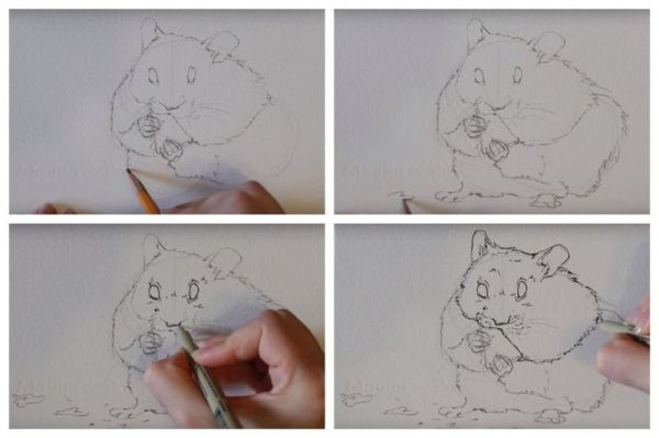Рисунки хомяка лёгкие