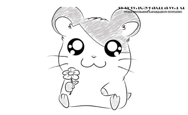 Морская Свинка рисунок карандашом