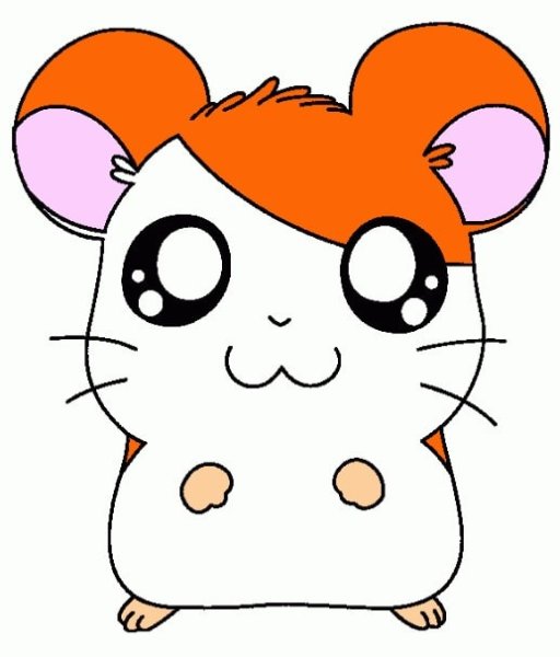 Рисунок хомяка для срисовки легкий