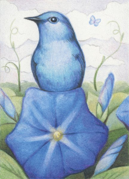 Рисунки в синих тонах