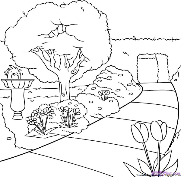 Сад карандашом