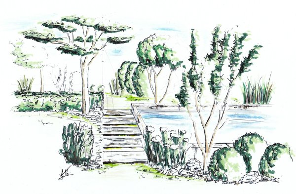 Ландшафт парка карандашом