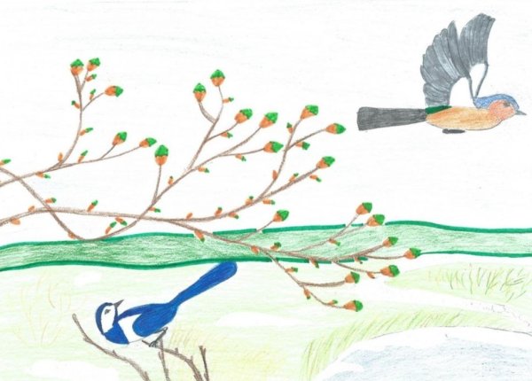 Рисование на тему Весенняя пора