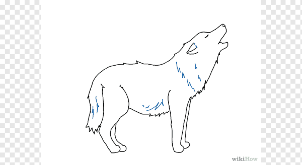 Рисунок волка карандашом для срисовки