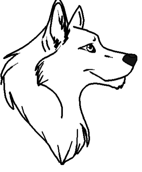 Как рисуется волк поэтапно