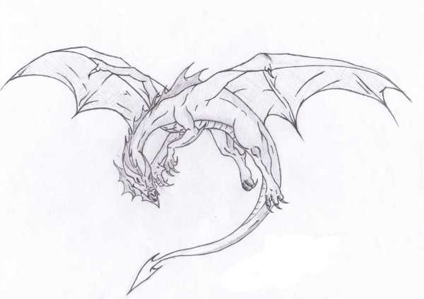 Дракон карандашом для срисовки