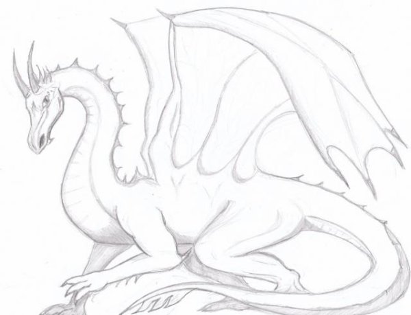 Дракон для срисовки