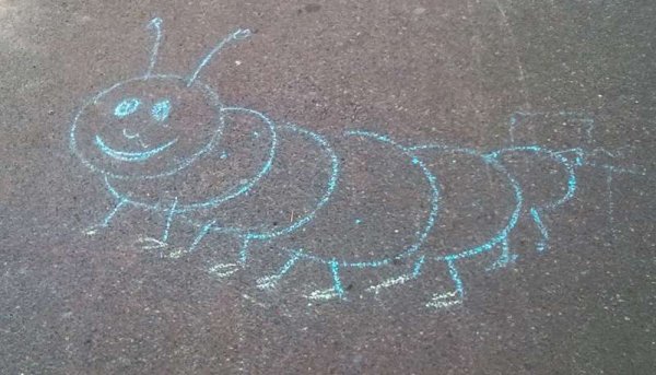 Цветы мелками на доске