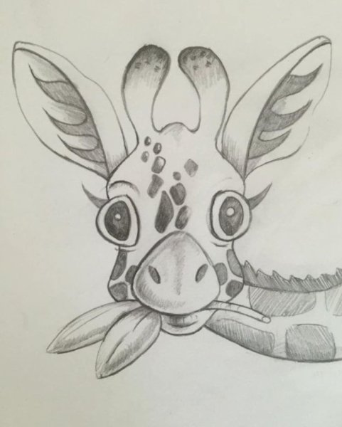 Красивые несложные рисунки