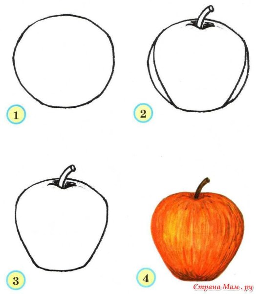 Поэтапное рисование овощей и фруктов в подготовительной группе