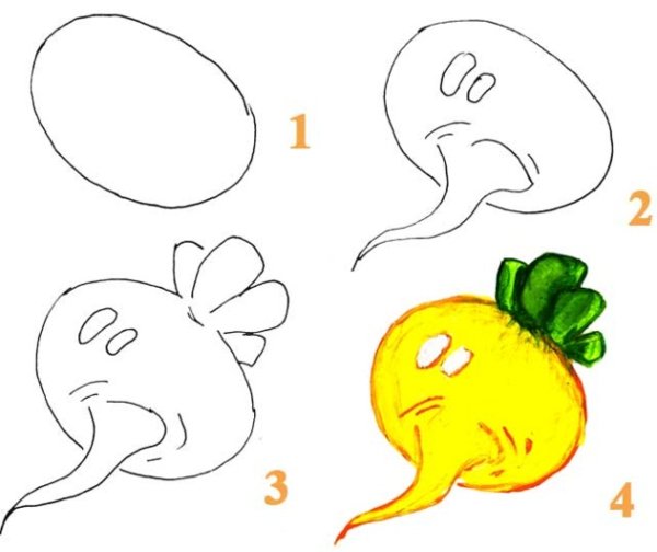 Фрукты карандашом для детей