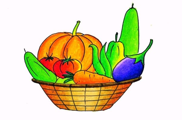 Морковь для срисовки