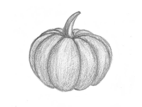 Фрукты. Раскраска