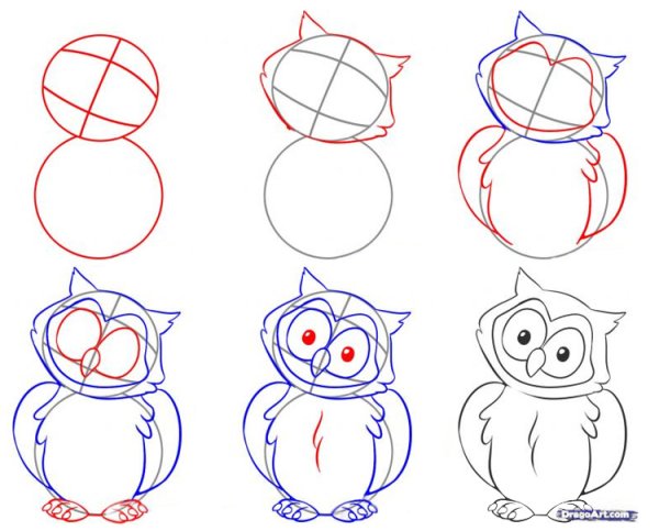 Поэтапное рисование соры