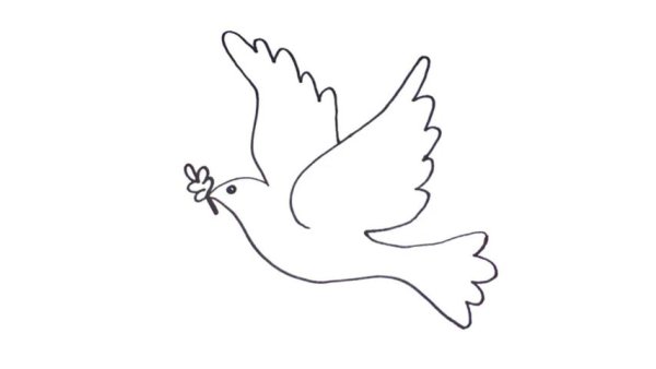 Нарисовать голубя мира поэтапно