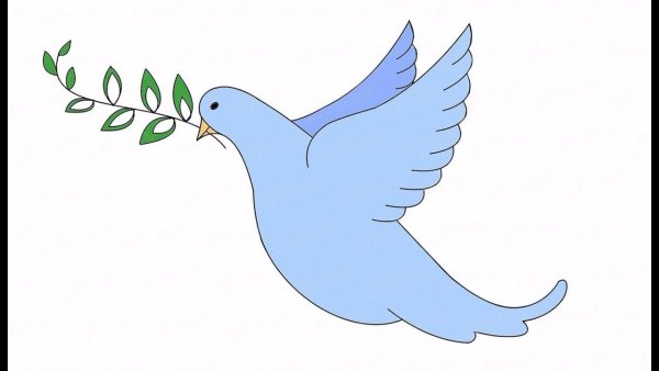 Голубь карандашом