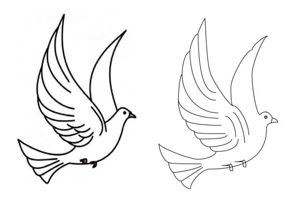 Голубь для рисования