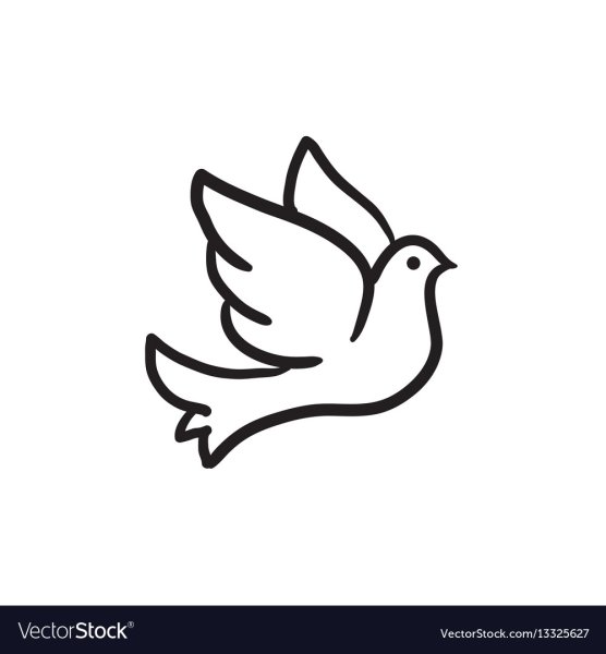 Голубь рисунок карандашом