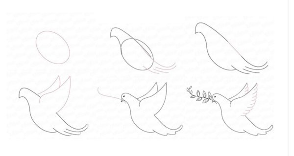 Картинки птиц для срисовки карандашом