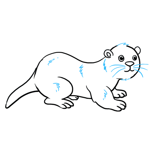 Поэтапное рисование выдры