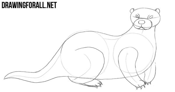 Поэтапное рисование выдры