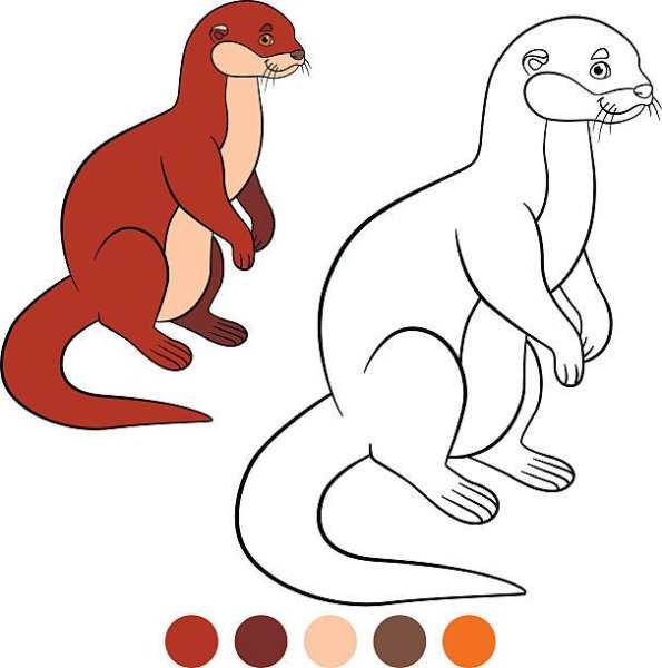 Нарисования выдра для детей