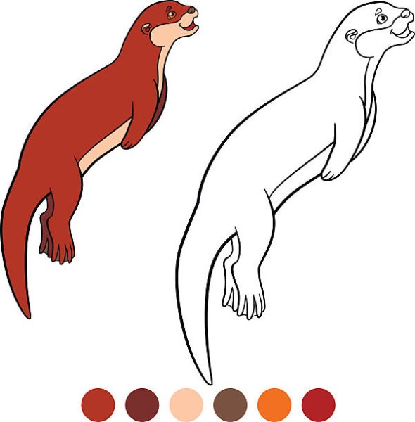 Выдра эскиз