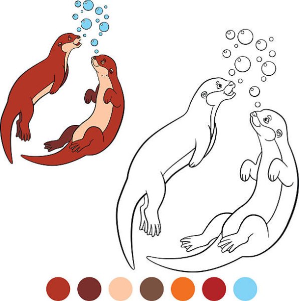 Зарисовки выдра