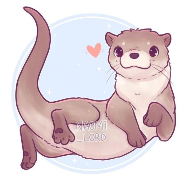 Поэтапное рисование выдры