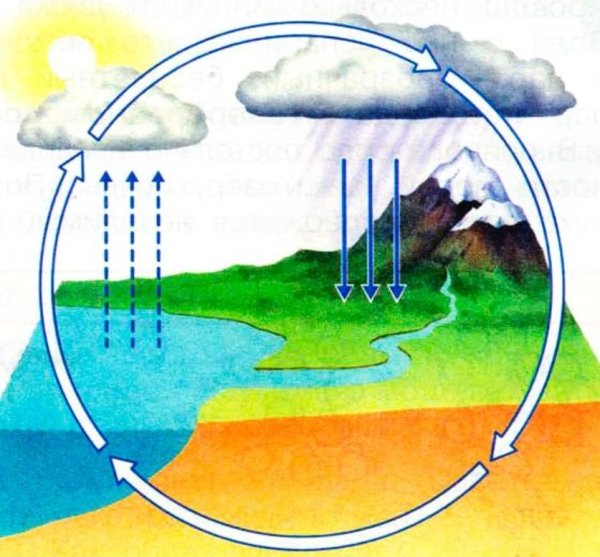 Идеи на тему береги воду