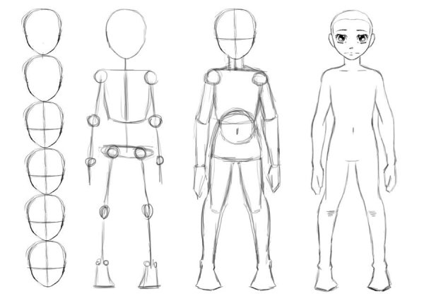 Анатомия тела человека для рисования